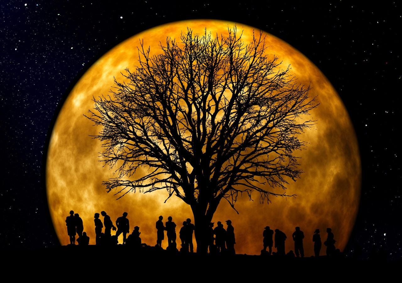 silhouette-of-people-standing-neat-tree-under-the-moon-22138