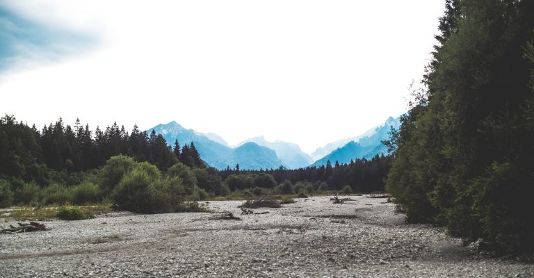 markus-spiske-Sf6cjnDPGWE-unsplash