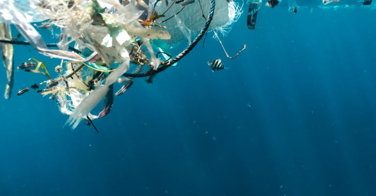 naja-bertolt-jensen-2St3S36Gu7w-unsplash