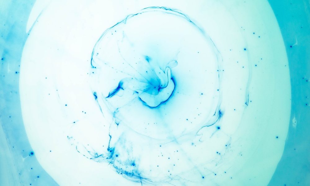 joel-filipe-BNcdsnUNqUY-unsplash