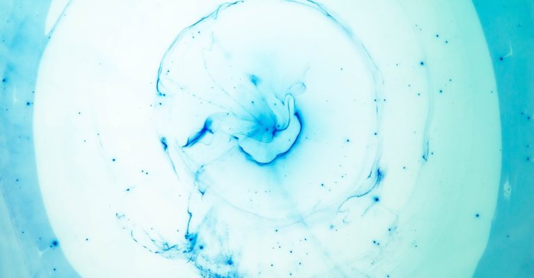 joel-filipe-BNcdsnUNqUY-unsplash