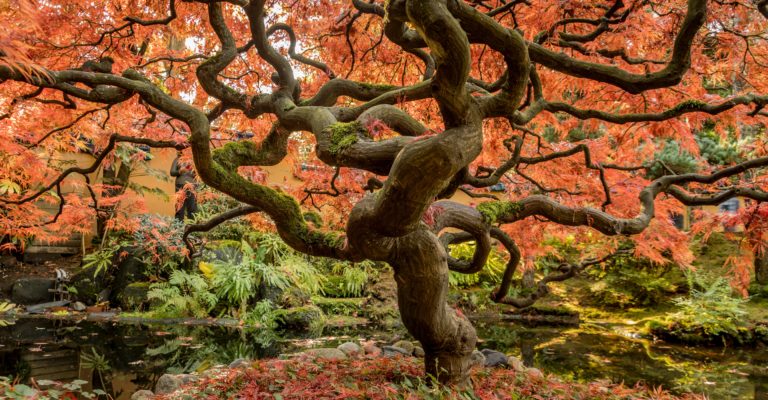 faye-cornish-yw-unsplash