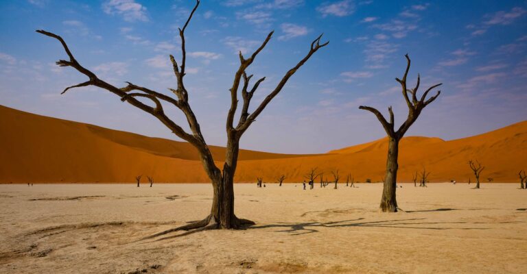 anthony-tuil-q68-E6hdl90-unsplash