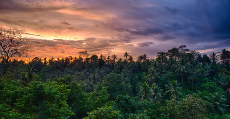 lightscape-LRQsyNQL1TE-unsplash