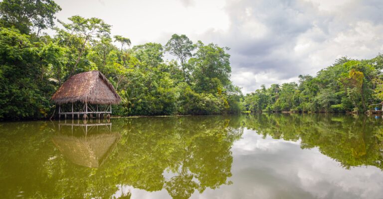 isaac-quesada-ju3TJjAErdo-unsplash