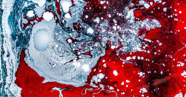 joel-filipe-WjnF1Tp-p3I-unsplash