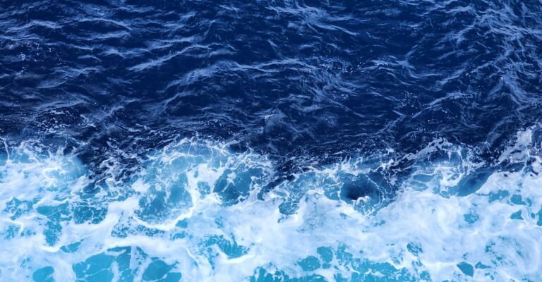 vinayak-sharma-GA-ulY5KZaI-unsplash