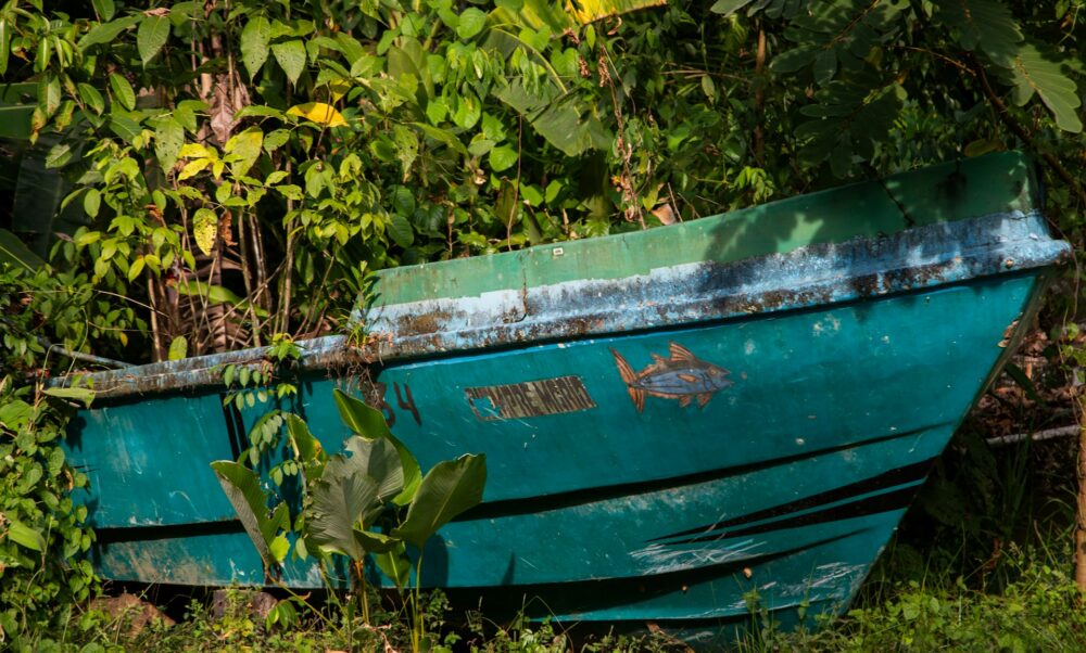 bernd-dittrich-nxBS5KbeuTo-unsplash