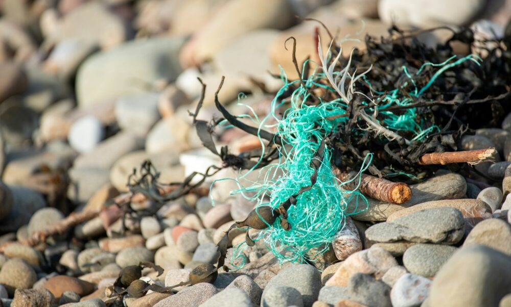 nick-russill-_GPbp3nL6EU-unsplash