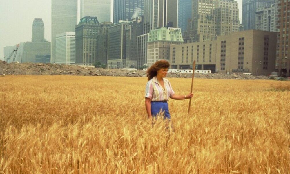 Agnes-Denes-Wheatfield-A-Confrontation-1982-Battery-Park-Landfill-Downtown-Manhattan-1-2-2048×1380-1-1024×690